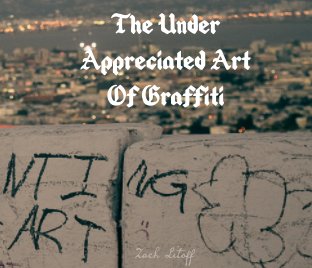 The Under Appreciated Art of Graffiti book cover
