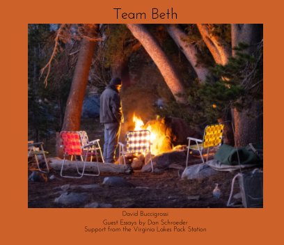 Team Beth book cover