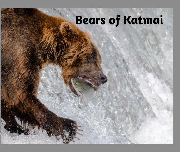 View Bears of Katmai by David J Miller