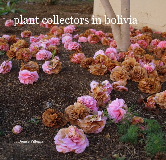 View plant collectors in bolivia by Denise Villegas