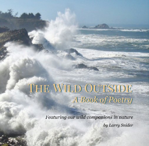Bekijk The Wild Outside op Larry Snider