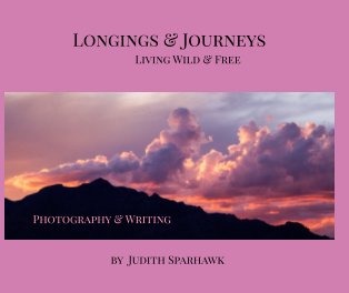 Longings and Journeys book cover