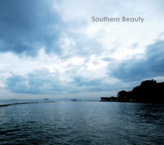 Southern Beauty book cover