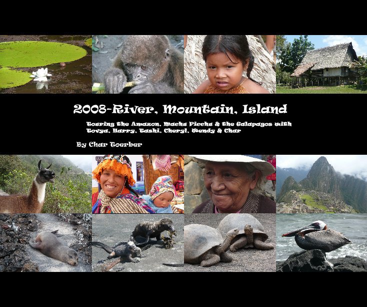 Ver 2008-River, Mountain, Island por Char Toerber