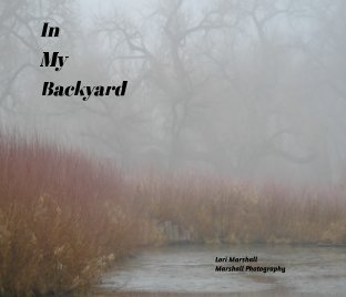 In My Backyard book cover