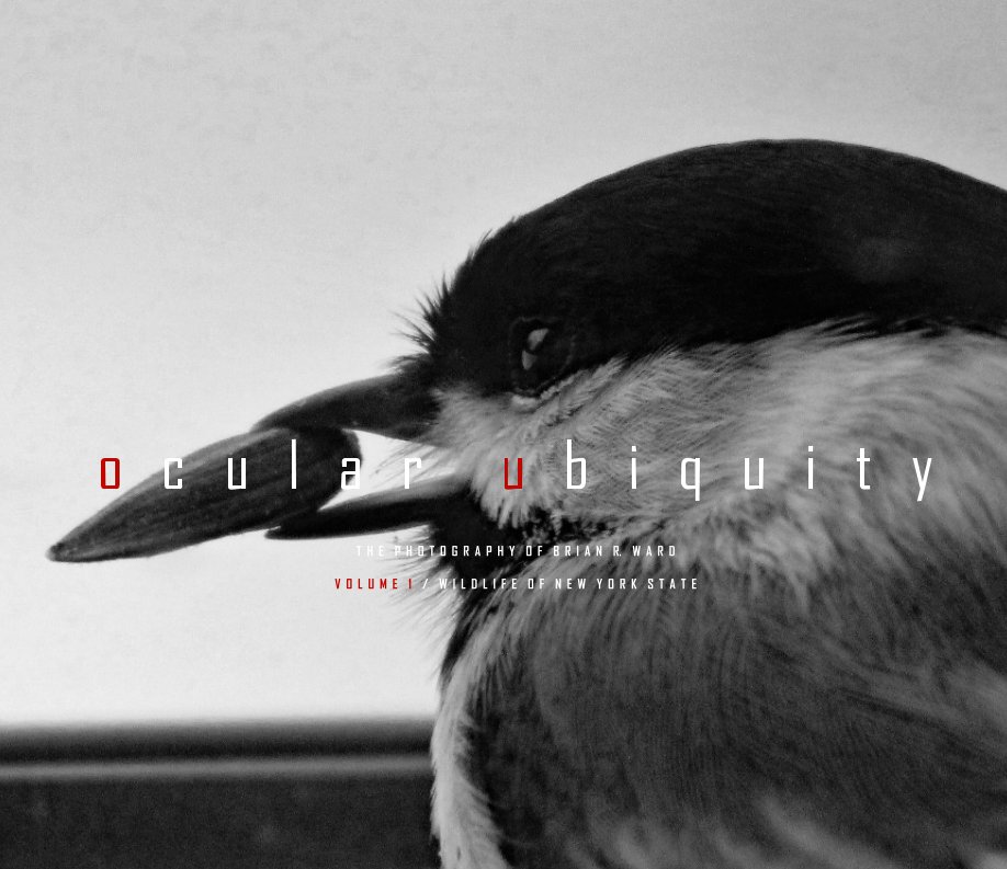 Bekijk Ocular Ubiquity - Volume 1 op Brian R. Ward