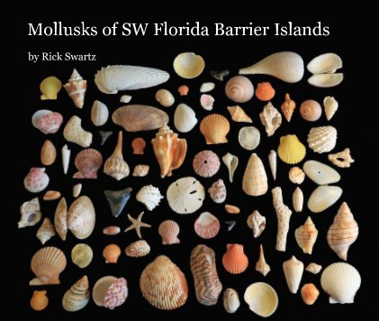 Mollusks of SW Florida Barrier Islands book cover