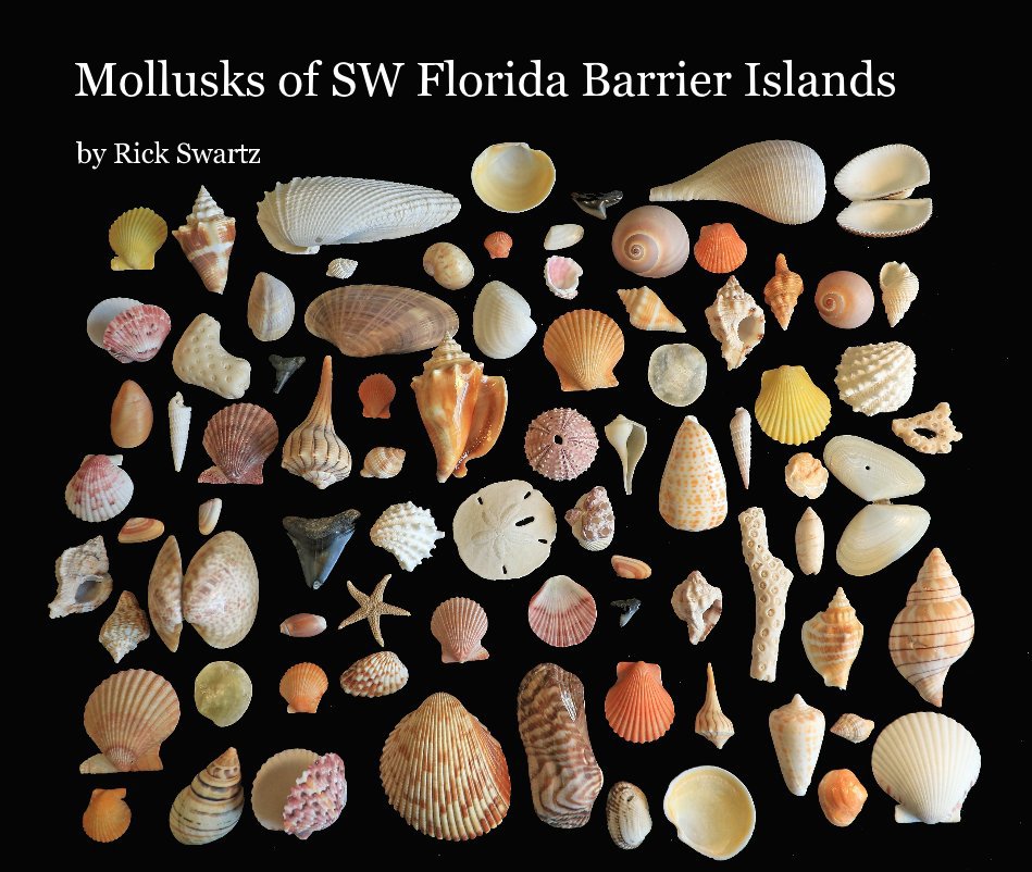 View Mollusks of SW Florida Barrier Islands by Rick Swartz