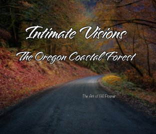 Intimate Visions book cover