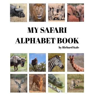 My Safari Alphabet Book book cover