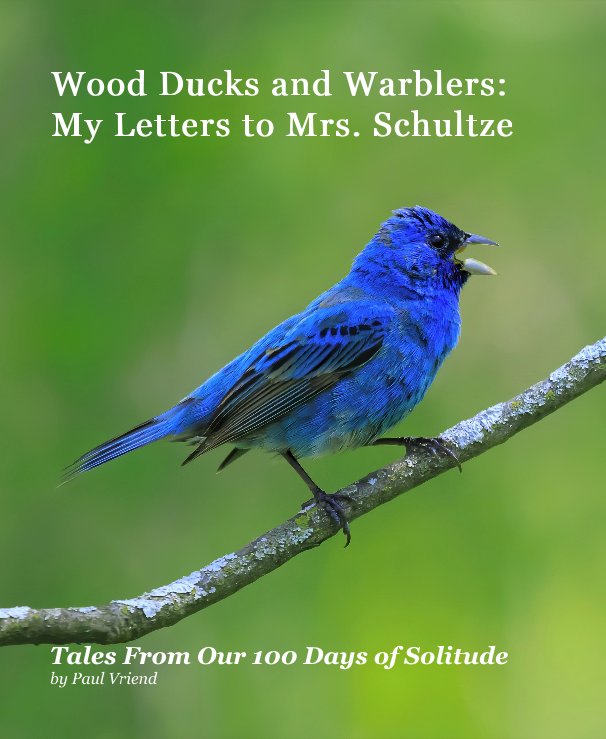 Ver Wood Ducks and Warblers: My Letters to Mrs. Schultze por Paul Vriend