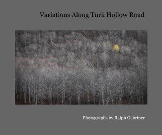 Variations Along Turk Hollow Road book cover