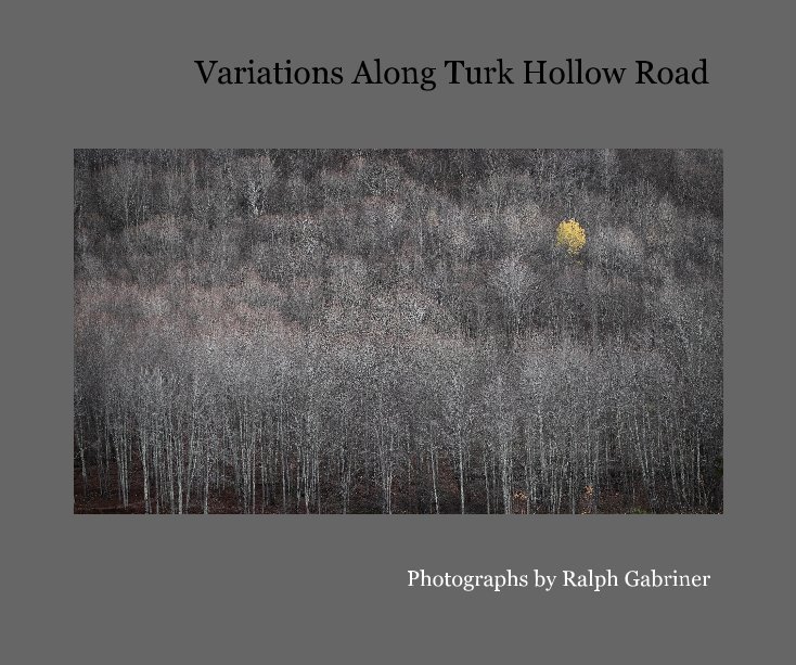 View Variations Along Turk Hollow Road by Ralph Gabriner