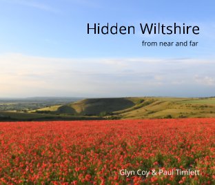 Hidden Wiltshire book cover