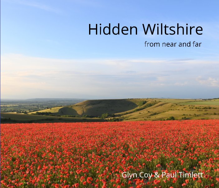 View Hidden Wiltshire by Glyn Coy, Paul Timlett