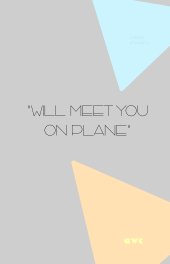 "Will Meet You On Plane" book cover