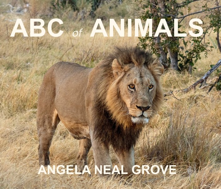 ABC of ANIMALS nach Angela Neal Grove anzeigen