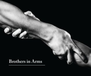 Brothers in Arms book cover