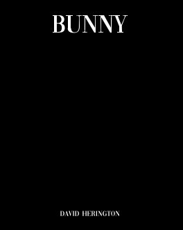 Bunny book cover