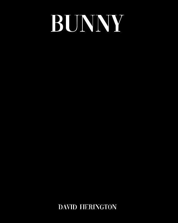 View Bunny by David Herington