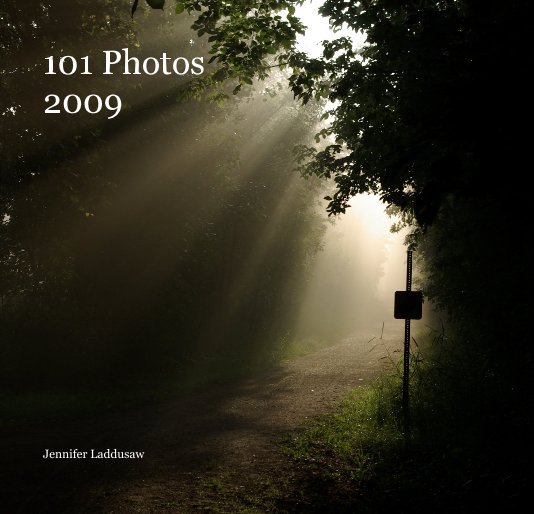 View 101 Photos 2009 by Jennifer Laddusaw
