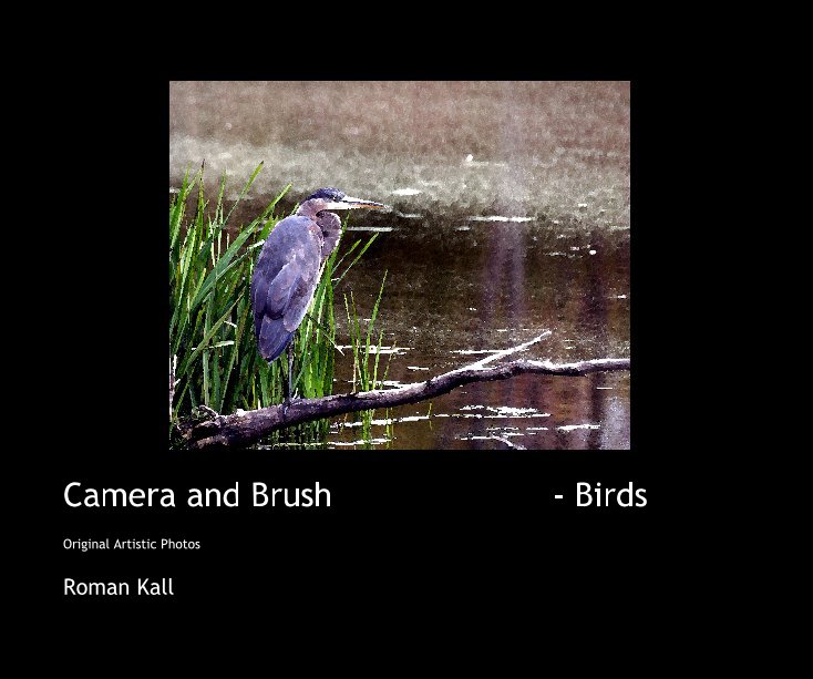 View Camera and Brush - Birds by Roman Kall