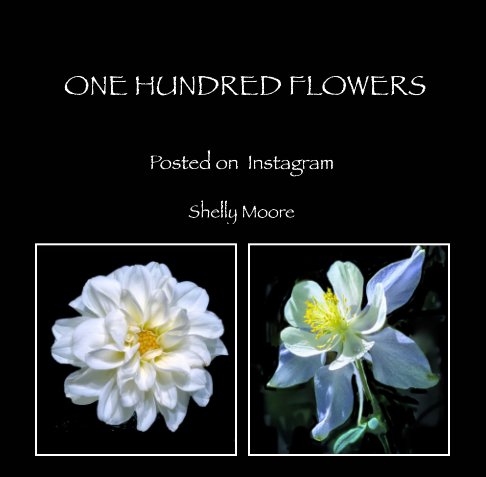 View One Hundred Flowers by Shelly Moore