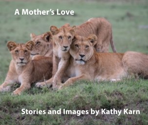 A Mother's Love book cover