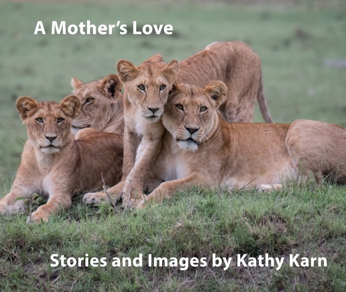 View A Mother's Love by Kathy Karn