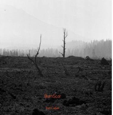 BurnScar book cover