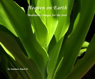 Heaven on Earth book cover
