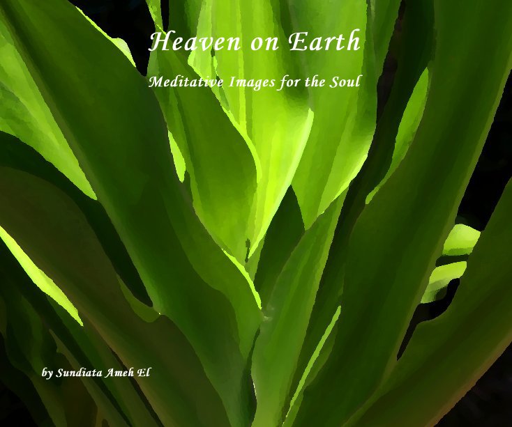 Ver Heaven on Earth por Sundiata Ameh El