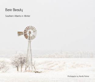 Bare Beauty - Southern Alberta in Winter book cover