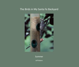 The Birds in My Santa Fe Backyard  Summer Edition softcover book cover