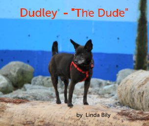 Dudley - The Dude book cover