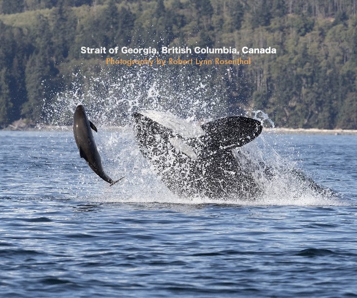 Ver The Strait of Georgia, British Columbia, Canada por Robert Lynn Rosenthal