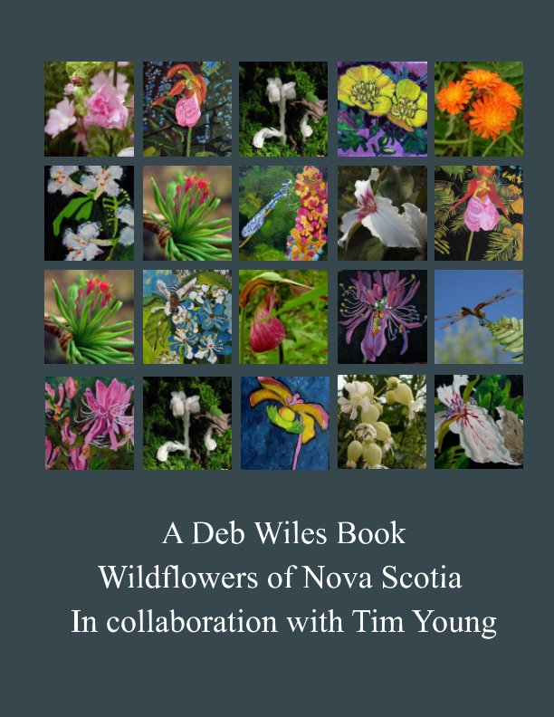 View Wildflowers of Nova Scotia Catalogue by Deb Wiles