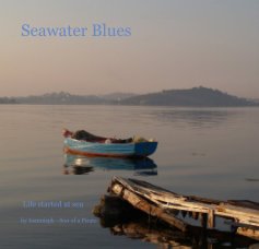 Seawater Blues book cover