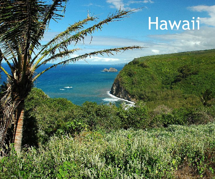 View Hawaii by kuzzy