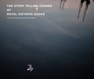 The Story Telling Cranes Of Royal Victoria Docks book cover