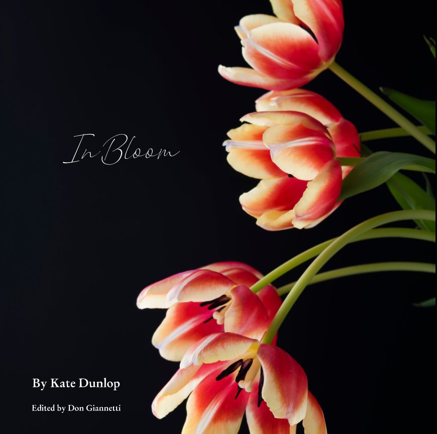 View In Bloom by Kate Dunlop