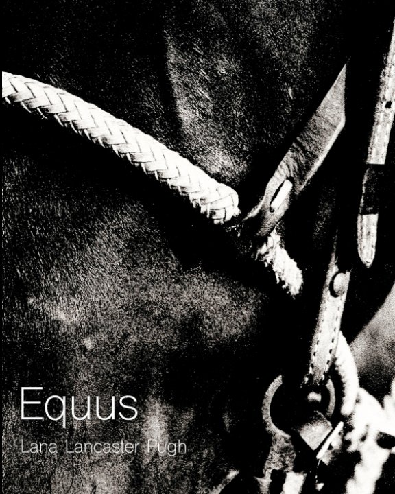View Equus by Lana Pugh