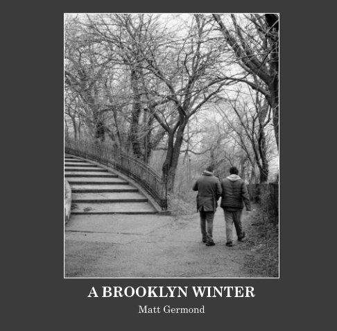 A Brooklyn Winter nach Matthew Germond anzeigen