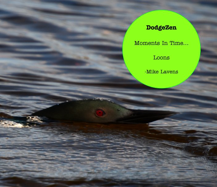 Ver Loons. Moments In Time por Mike Lavens