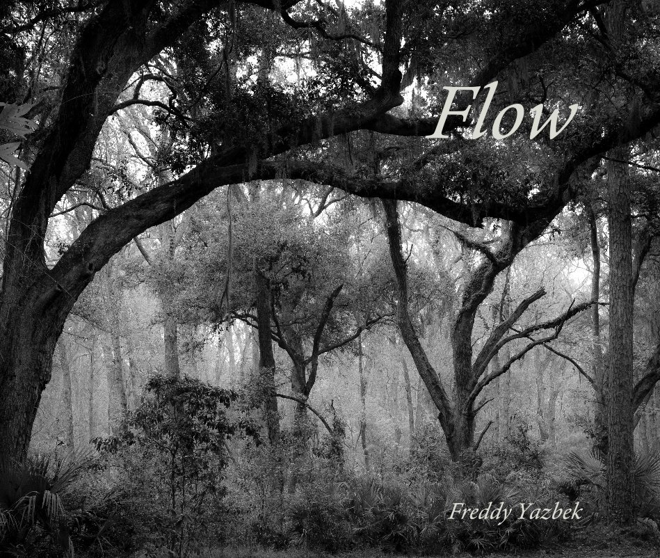 View Flow by Freddy Yazbek
