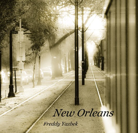 View New Orleans by Freddy Yazbek