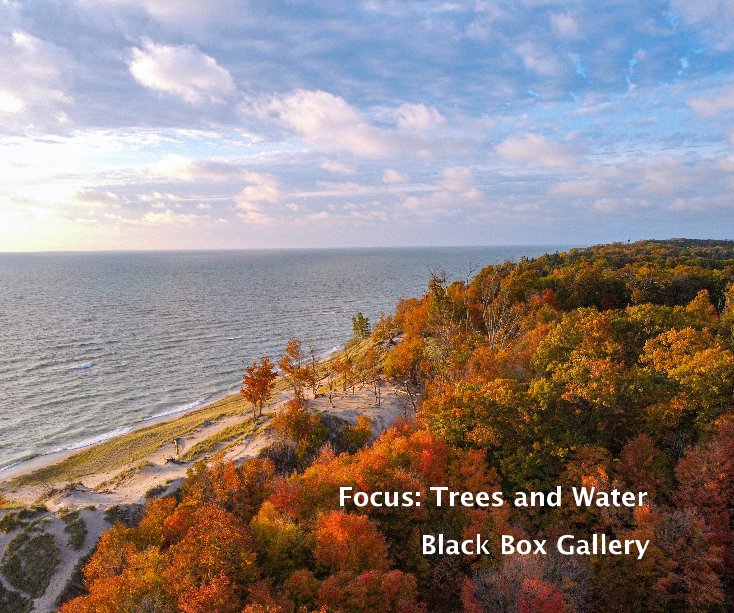 View Focus: Trees and Water by Black Box Gallery