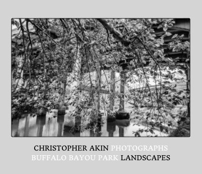 Buffalo Bayou Landscapes book cover