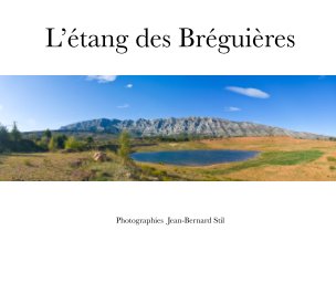L'étang des Breguieres book cover