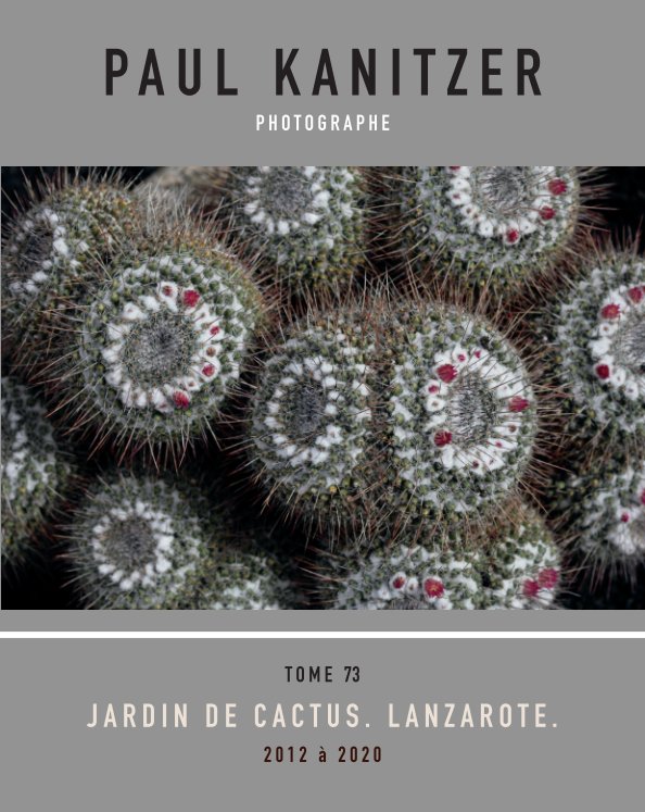 View T73 Jardin de Cactus by Paul Kanitzer